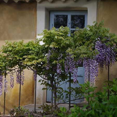 Chambre D'Hotes Au Coquin De Sort Vaison-la-Romaine Eksteriør bilde